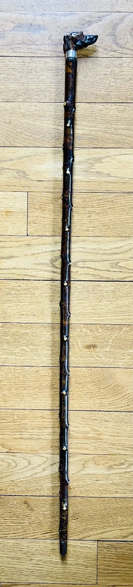 Canne de marche -photo-3